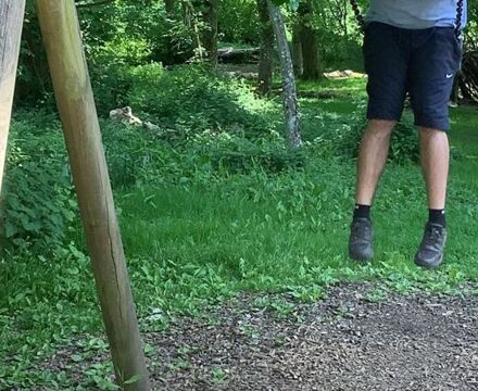 IMG 9451