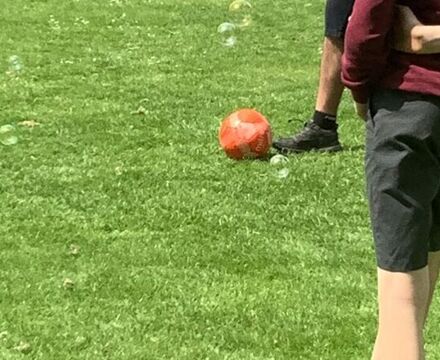 IMG 9470