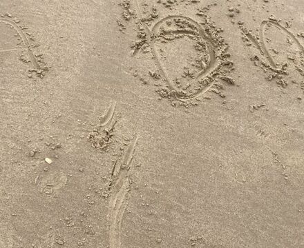 IMG 4837