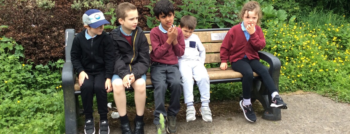 Blog Header Image