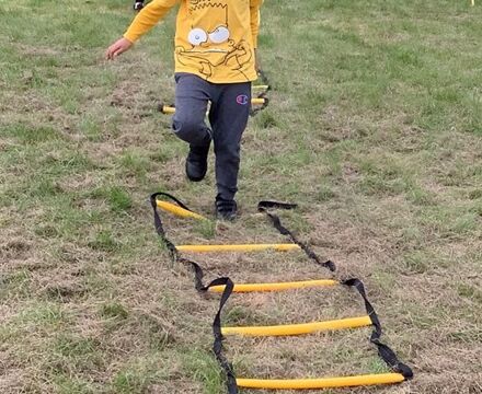 IMG 3116