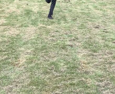IMG 3077