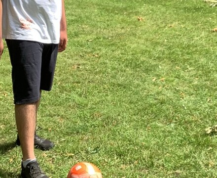 IMG 7254