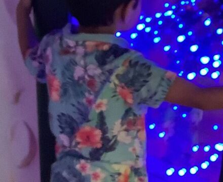 IMG 2319