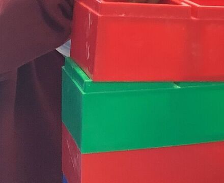 IMG 1955