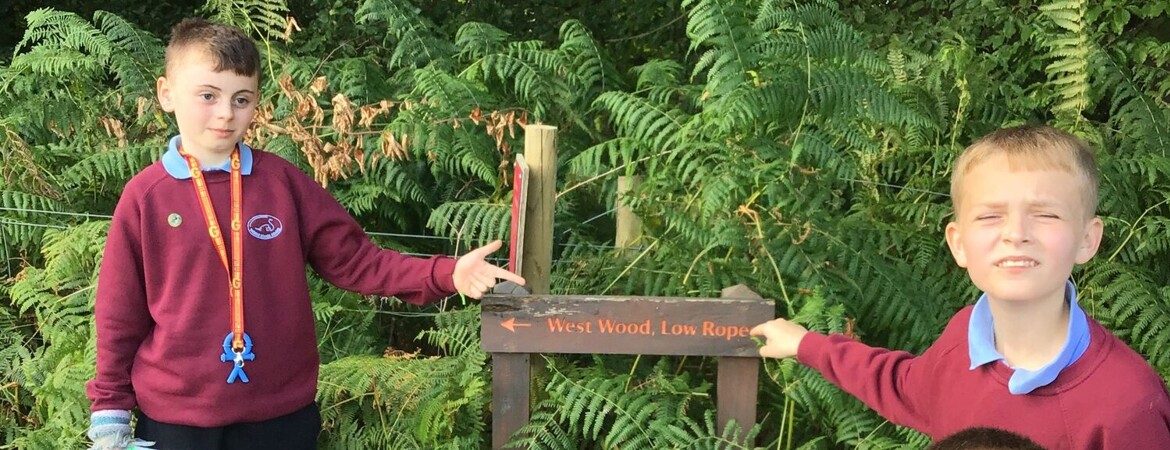 Blog Header Image