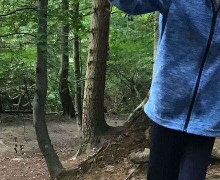 IMG 3873
