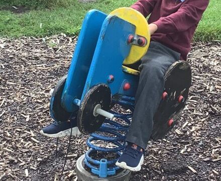 IMG 5355