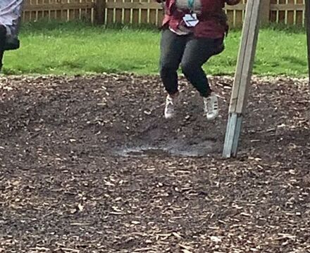 IMG 5435